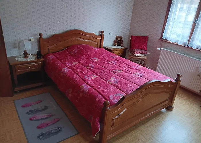 Au Relais Des Cigognes D Alsace Sarralbe